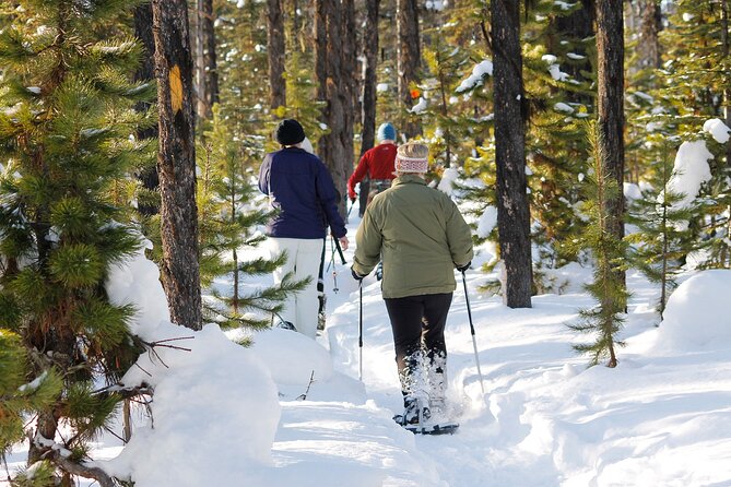 Snowshoeing at The Top of The Sea to Sky Gondola - The Guide Makes It: Practical Help, Smart Photos, Small Touches
