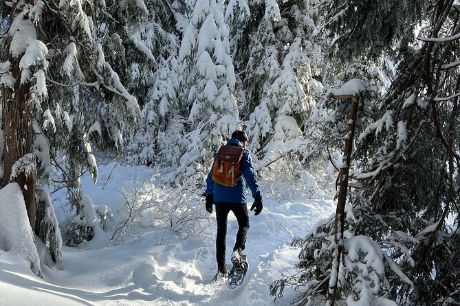 Snowshoeing at The Top of The Sea to Sky Gondola - Itinerary Moments That Matter (and What to Watch For)
