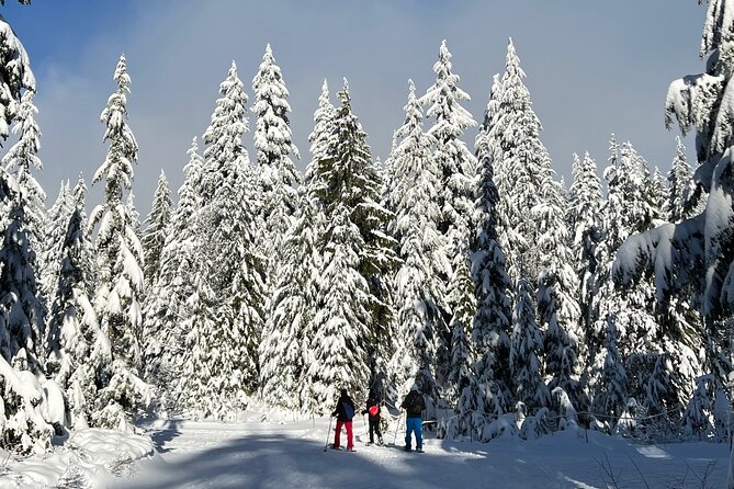 Snowshoeing at The Top of The Sea to Sky Gondola - Price and Value: Is $138.20 Worth It?