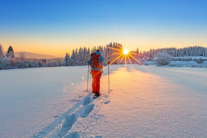 Snowshoeing At The Top Of The Sea To Sky Gondola - The Sea to Sky Gondola Ride to Summit Lodge: Views That Set the Mood