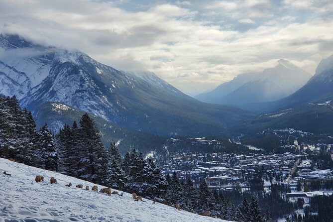 Spectacular Banff Day - Gondola Included - Price and value: what your $126.40 really covers