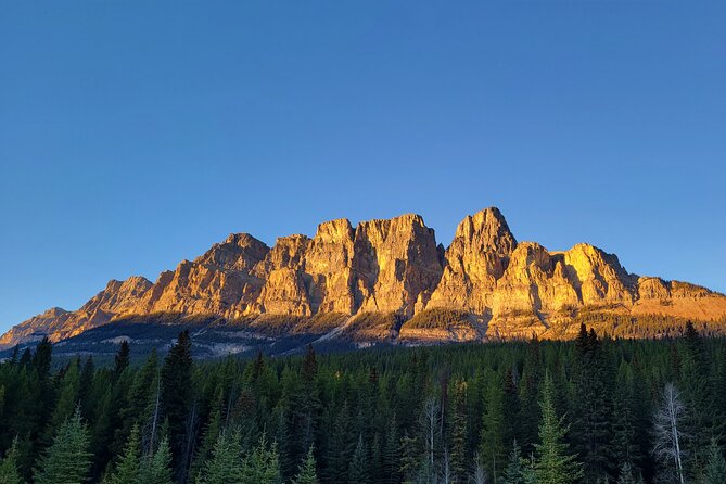 Spectacular Banff Day - Gondola Included - Seasonal reality: the extra lake stop changes in winter
