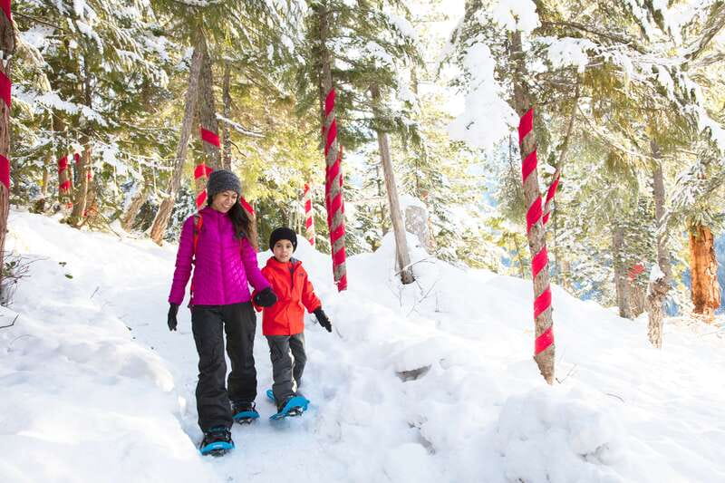 Squamish: Sea to Sky Gondola Admission Ticket - Key Things That Make This Gondola Worth Your Time