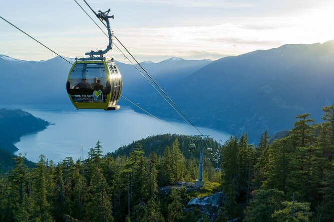 Whistler and Sea to Sky Gondola, a Fire and Ice Discovery Tour - Howe Sound and the Sea to Sky Gondola: Habrich Ridge Views That Pay Off Fast