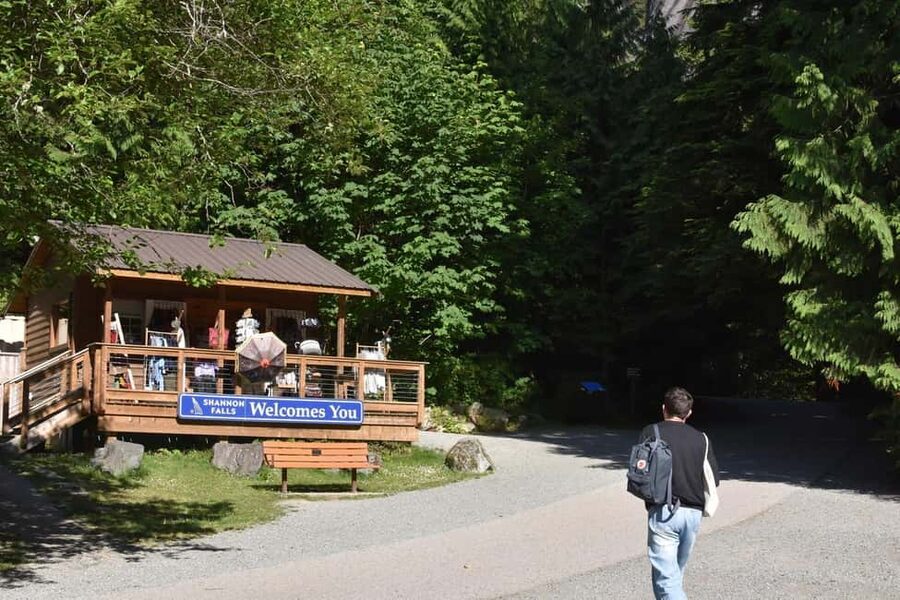 Whistler, Sea to Sky Gondola, and Shannon Falls Day Trip - Shannon Falls: The 335-Metre Stop That Actually Feels Worth It