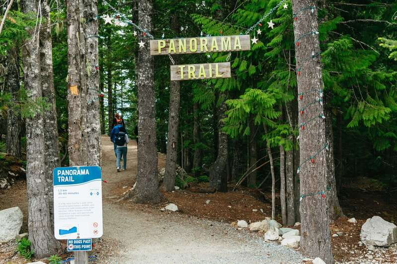 Whistler, Sea to Sky Gondola, and Shannon Falls Day Trip - Timing and What to Prioritize If You’re Short on Patience